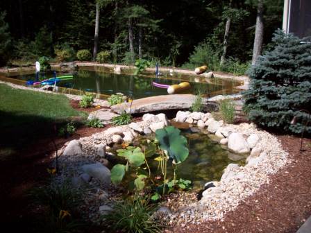 swim pond